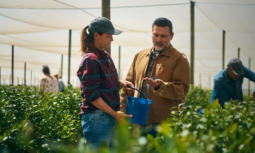 Woman holding bucket while man inspects contents inside a nursery with rows of green plants.