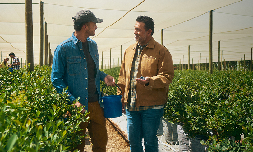 Man holds a handful of berries while another man with a hat holds a blue bucket.